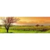 Vineyard Landscape (Long) -WALL ART DESGIN SALE 1187AL Vineyard Landscape ORIG THUMB 1