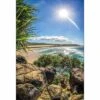 Pandanus On Fraser Canvas Art -WALL ART DESGIN SALE 1204AR V Pandanus on Fraser Thumb ab8477db 9e15 4857 b0f1 4698e81893d7