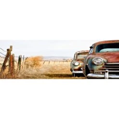Rusty Cars Canvas Art
