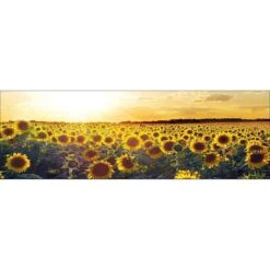 Sunflowers At Sunset, Long Canvas Art