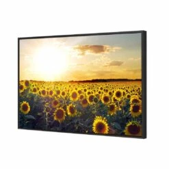 Sunflowers At Sunset, Rectangle Canvas Art -WALL ART DESGIN SALE 1223AR H Sunflowers at Sunset 3D THUMB FF BLK ba1f0530 03ff 4283 bb21 2d3f8486648c