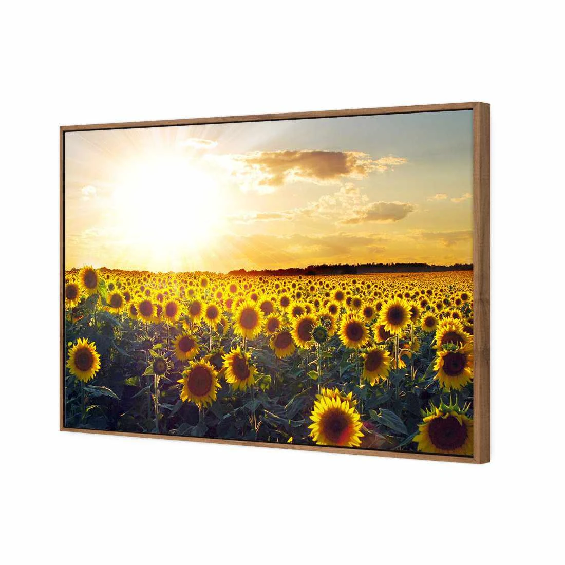 Sunflowers At Sunset, Rectangle Canvas Art Sunflowers At Sunset, Rectangle Canvas Art -WALL ART DESGIN SALE 1223AR H Sunflowers at Sunset 3D THUMB FF NAT 7315d3d7 b948 4428 8bf2 f0df58003748