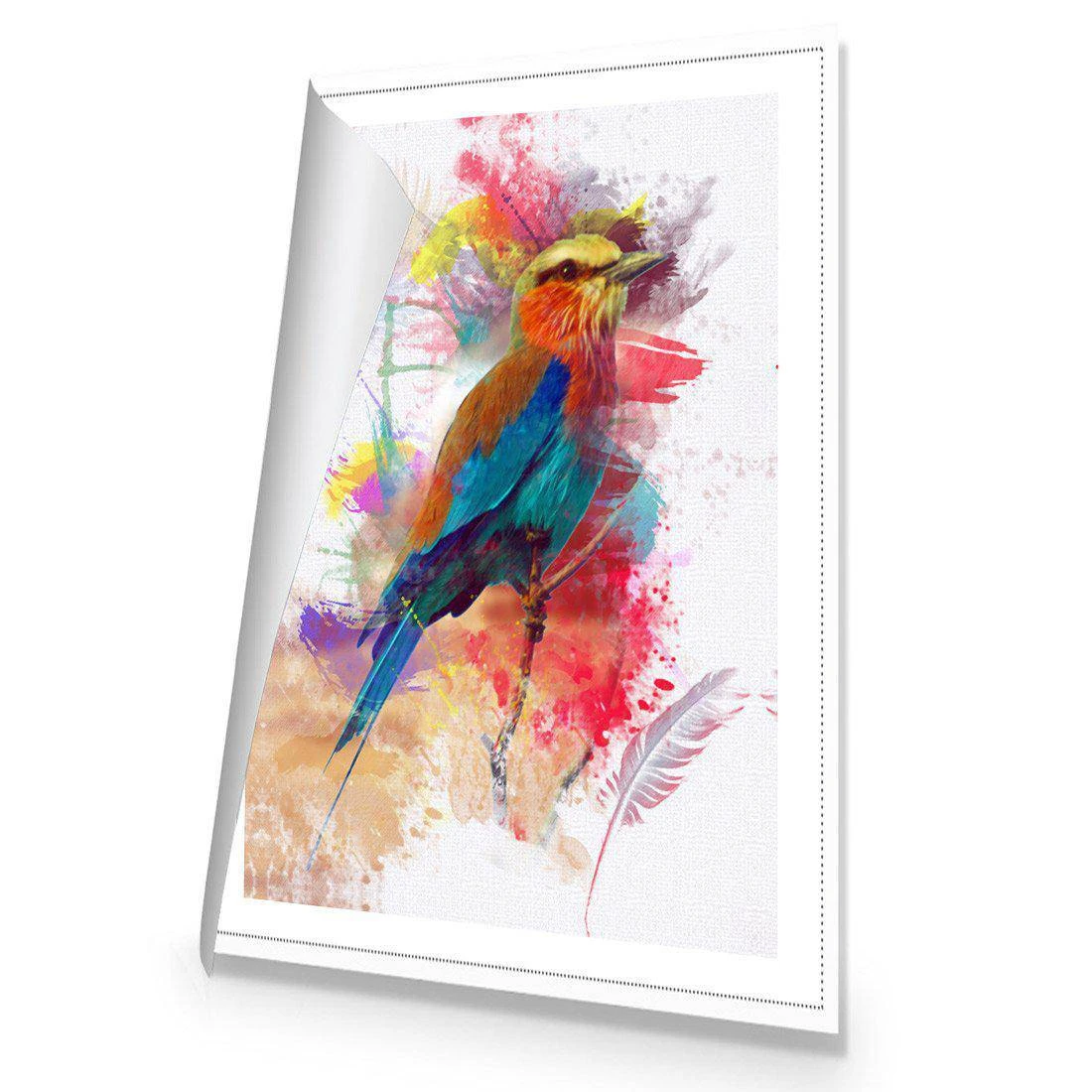Painted Bird And Feathers Canvas Art Painted Bird And Feathers Canvas Art -WALL ART DESGIN SALE 1483AR V Painted Bird and Feathers ROLLED Thumb dfd404db 9969 45bd 9488 c4a458022898