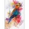 Painted Bird And Feathers Canvas Art -WALL ART DESGIN SALE 1483AR V Painted Bird and Feathers Thumb 25276a41 b3db 4d95 b578 8c6a40b257cc
