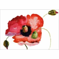 Poppy Buds Canvas Art