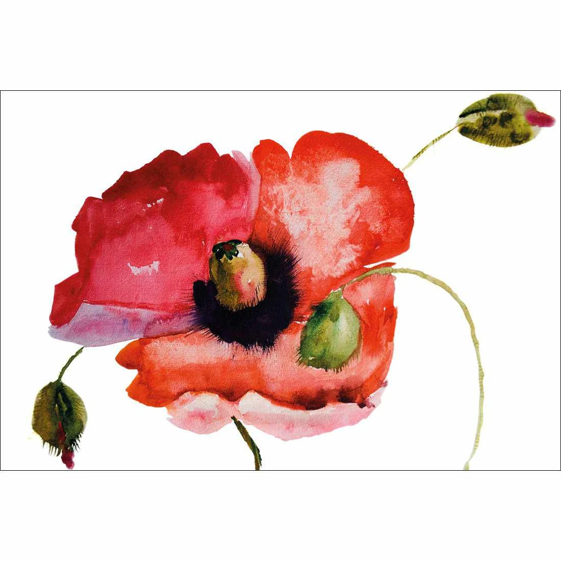 Poppy Buds Canvas Art Poppy Buds Canvas Art -WALL ART DESGIN SALE 1506AR H Poppy Buds Thumb 27781d8f 00c4 4861 b690 346e4e162784
