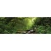 Romantic Rainforest (long) -WALL ART DESGIN SALE 153AL Romantic Rainforest Orig THUMB 00658 1