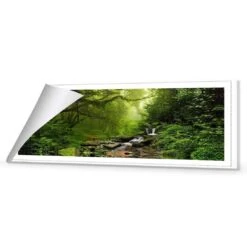 Romantic Rainforest (long) -WALL ART DESGIN SALE 153AL H Romantic Rainforest ROL THUMB 32b67765 81d4 47a1 b517 2ae520df8815