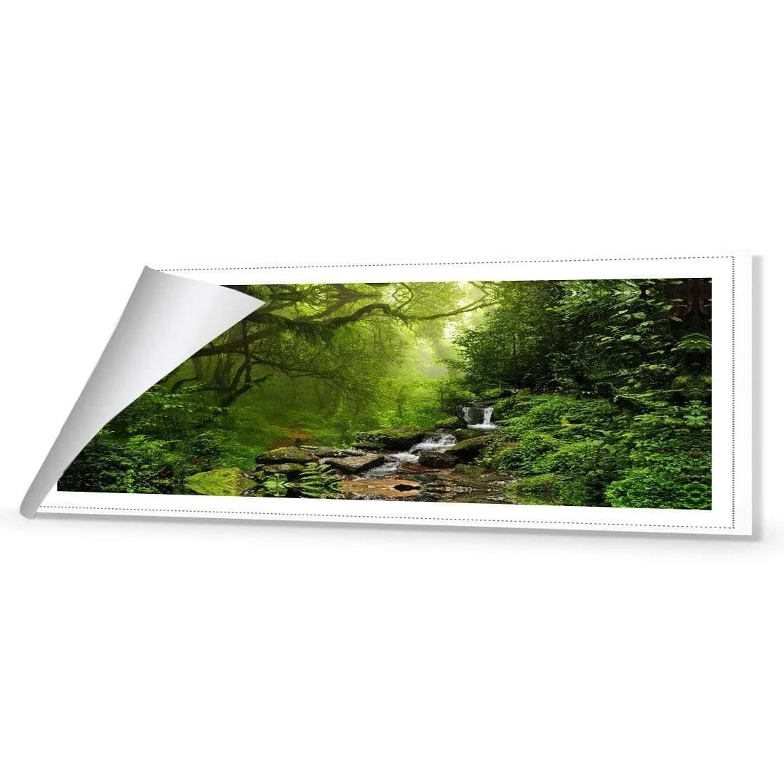 Romantic Rainforest (long) Romantic Rainforest (long) -WALL ART DESGIN SALE 153AL H Romantic Rainforest ROL THUMB 32b67765 81d4 47a1 b517 2ae520df8815