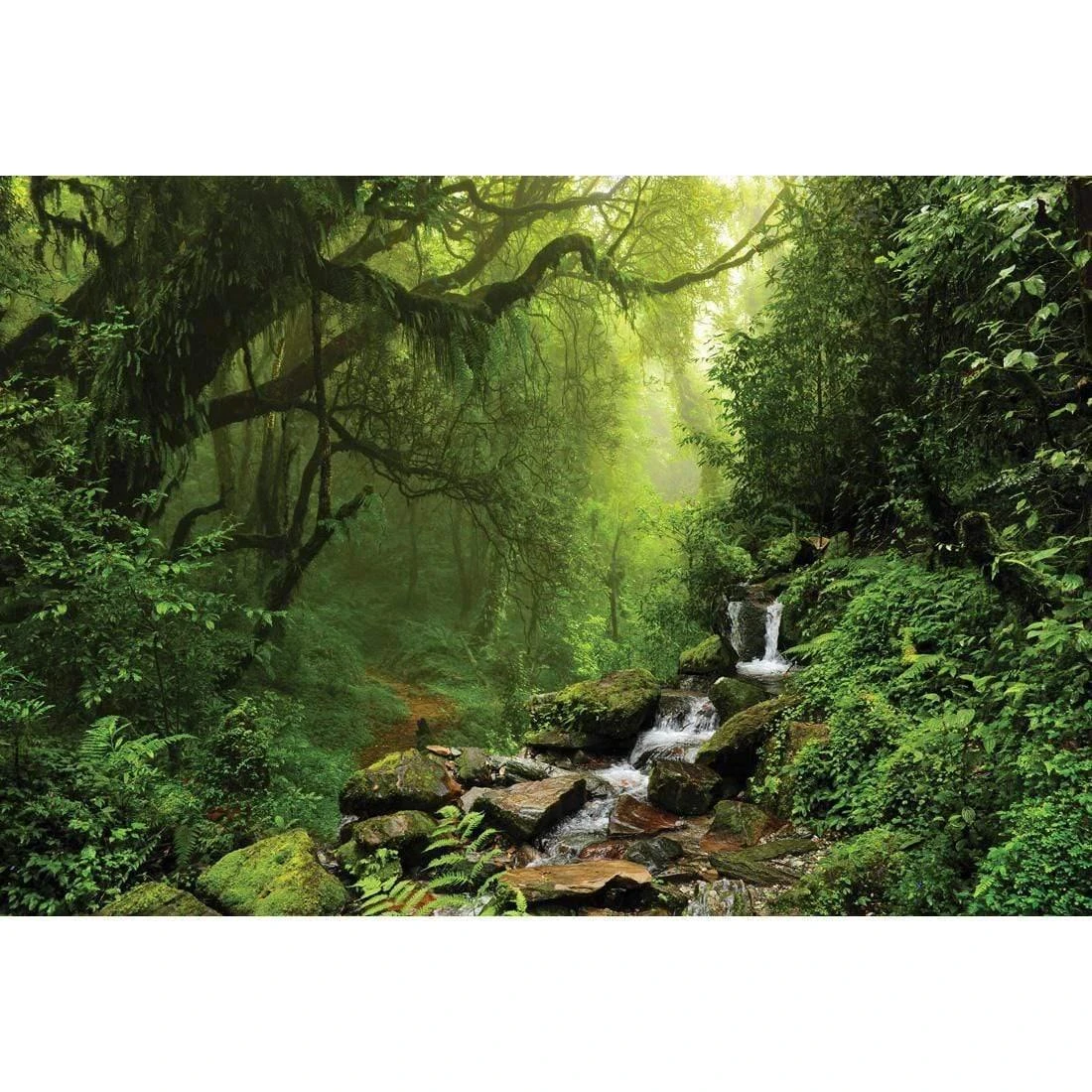 Romantic Rainforest Romantic Rainforest -WALL ART DESGIN SALE 153AR Romantic Rainforest Orig THUMB 15305 ceba5b80 f16b 4b16 858b b3fcc3a3a6fb