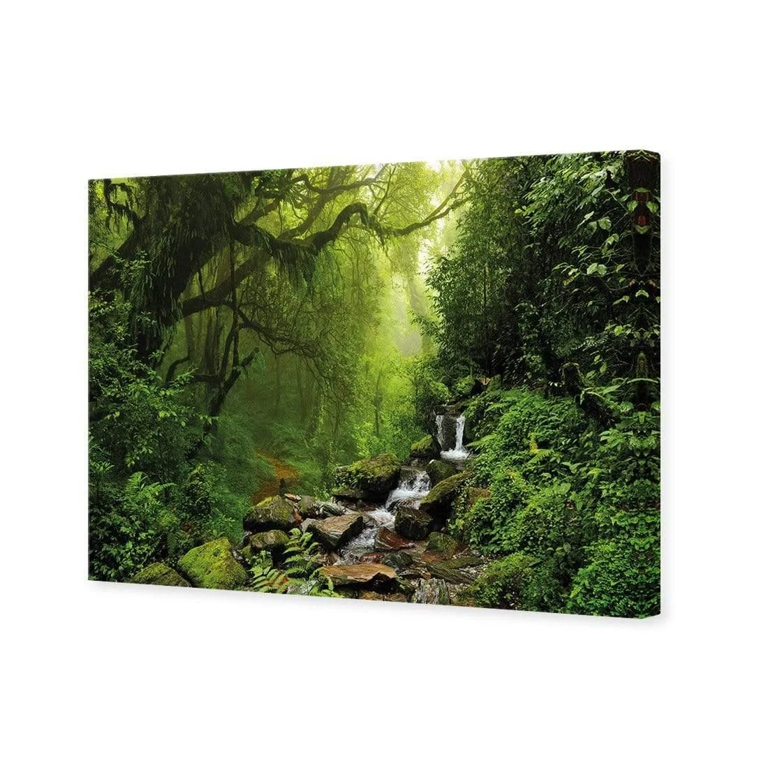 Romantic Rainforest Romantic Rainforest -WALL ART DESGIN SALE 153AR H Romantic Rainforest 3D CANVAS THUMB 4d32a316 cc86 4e36 bad4 7b3891b5ce21