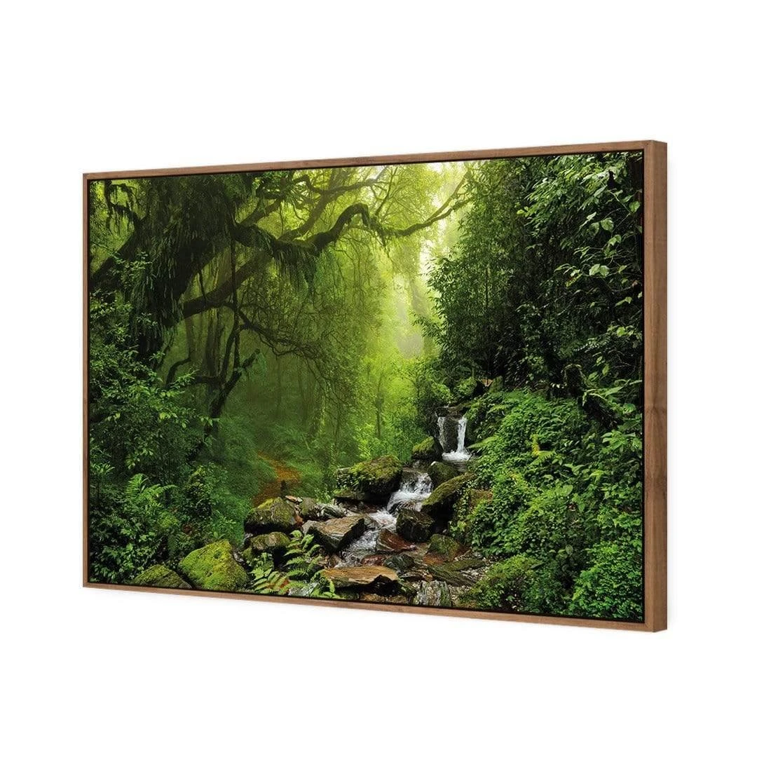Romantic Rainforest Romantic Rainforest -WALL ART DESGIN SALE 153AR H Romantic Rainforest 3D CANVAS THUMB FF NAT