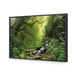 Romantic Rainforest -WALL ART DESGIN SALE 153AR H Romantic Rainforest ACR EDG THUMB FF BLK