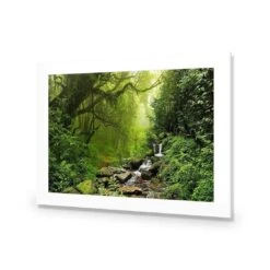 Romantic Rainforest -WALL ART DESGIN SALE 153AR H Romantic Rainforest ACR MAT THUMB 9660feaa cf2d 4243 9118 c153a8df709c