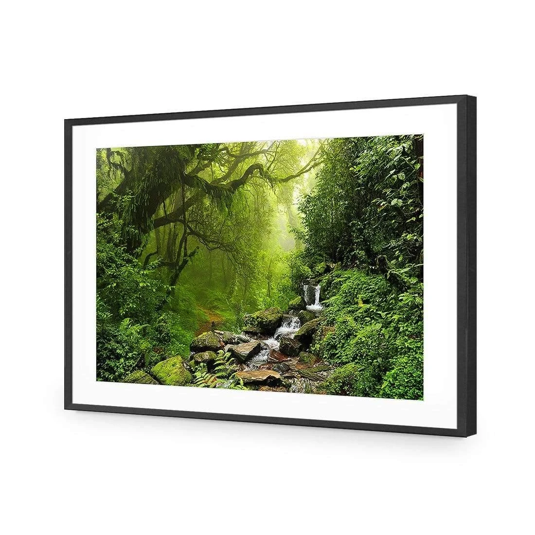 Romantic Rainforest Romantic Rainforest -WALL ART DESGIN SALE 153AR H Romantic Rainforest ACR MAT THUMB FF BLK