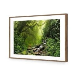 Romantic Rainforest -WALL ART DESGIN SALE 153AR H Romantic Rainforest ACR MAT THUMB FF NAT
