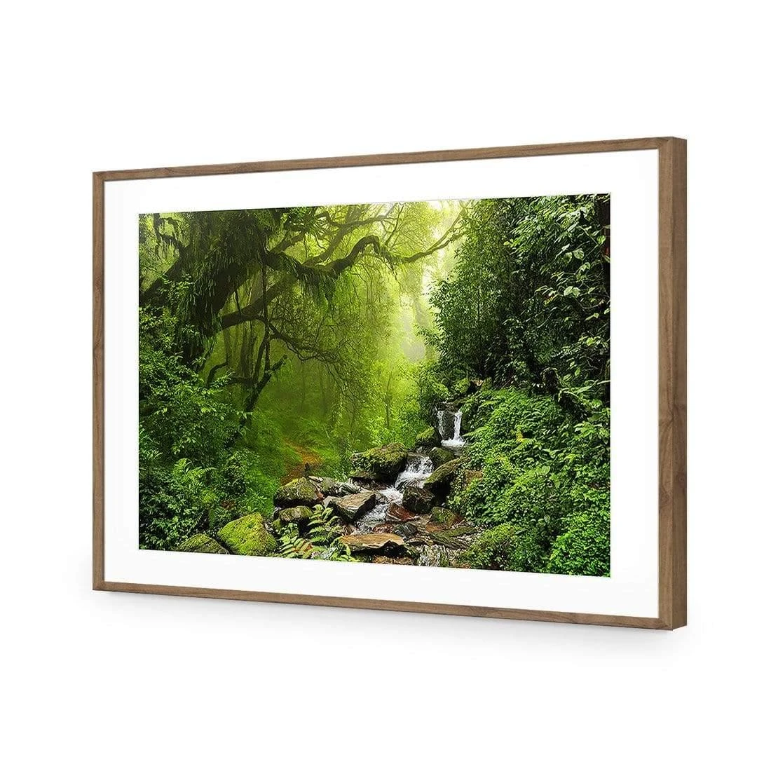Romantic Rainforest Romantic Rainforest -WALL ART DESGIN SALE 153AR H Romantic Rainforest ACR MAT THUMB FF NAT