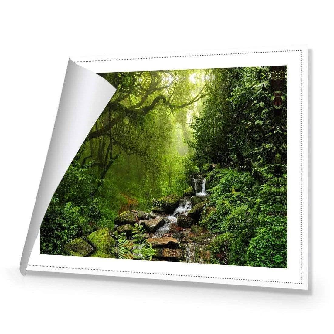 Romantic Rainforest Romantic Rainforest -WALL ART DESGIN SALE 153AR H Romantic Rainforest ROL THUMB f975fc07 95db 40a4 9bfc a8f5e5bcbb2a