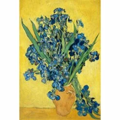 Vase Of Irises By Van Gogh Canvas Art