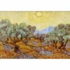 Olive Trees By Van Gogh Canvas Art -WALL ART DESGIN SALE 1702AR H Van Gogh Olive Trees Thumb 36aaf699 51fb 42bd b6e6 f07ba56b063b