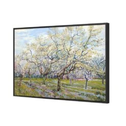 Van Gogh By The White Orchard Canvas Art -WALL ART DESGIN SALE 1714AR H The White Orchard by Vincent Van Gogh 3D Thumb FF BLK 5daa660c 044e 48bf ab99 8f88362ac8a2