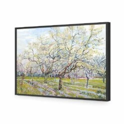 The White Orchard - Van Gogh Acrylic Print Art -WALL ART DESGIN SALE 1714AR H The White Orchard by Vincent Van Gogh ACR EDG THUMB FF BLK 372938d6 7043 48cd 848b 04a7fb13234e
