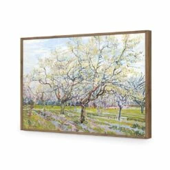The White Orchard - Van Gogh Acrylic Print Art -WALL ART DESGIN SALE 1714AR H The White Orchard by Vincent Van Gogh ACR EDG THUMB FF NAT 7a025ce0 d031 4862 8a93 8860574608ad