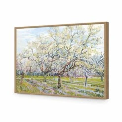 The White Orchard - Van Gogh Acrylic Print Art -WALL ART DESGIN SALE 1714AR H The White Orchard by Vincent Van Gogh ACR EDG THUMB FF OAK 723e888c 359c 49c5 8783 b44d2881ca30