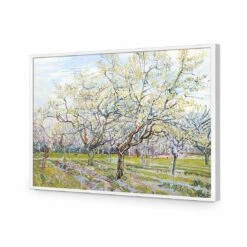 The White Orchard - Van Gogh Acrylic Print Art -WALL ART DESGIN SALE 1714AR H The White Orchard by Vincent Van Gogh ACR EDG THUMB FF WHT f673944f eae3 46ae ad19 c9ffb3dcd96b