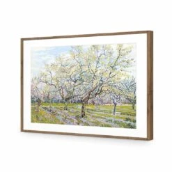 The White Orchard - Van Gogh Acrylic Print Art -WALL ART DESGIN SALE 1714AR H Van Gogh The White Orchard Max Size 118x80 ACR MAT THUMB FF NAT b981e1b2 39ff 43d8 a101 b47a7ebe7740