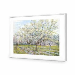 The White Orchard - Van Gogh Acrylic Print Art -WALL ART DESGIN SALE 1714AR H Van Gogh The White Orchard Max Size 118x80 ACR MAT THUMB FF WHT f08813df cf8e 4b06 8dcd 34823725af60
