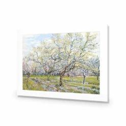 The White Orchard - Van Gogh Acrylic Print Art -WALL ART DESGIN SALE 1714AR H Van Gogh The White Orchard Max Size 118x80 ACR MAT THUMB eff5b153 c454 4919 9b17 75fabf7421b7