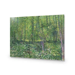 Trees And Undergrowth - Van Gogh Acrylic Print Art -WALL ART DESGIN SALE 1715AR H Van Gogh Trees and undergrowth Max Size 135x90 ACR EDG THUMB 3a7e48c6 3e5b 439e ac8a 08c513eb74ea