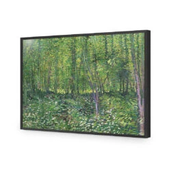 Trees And Undergrowth - Van Gogh Acrylic Print Art -WALL ART DESGIN SALE 1715AR H Van Gogh Trees and undergrowth Max Size 135x90 ACR EDG THUMB FF BLK