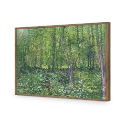 Trees And Undergrowth - Van Gogh Acrylic Print Art -WALL ART DESGIN SALE 1715AR H Van Gogh Trees and undergrowth Max Size 135x90 ACR EDG THUMB FF NAT