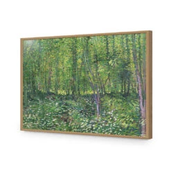 Trees And Undergrowth - Van Gogh Acrylic Print Art -WALL ART DESGIN SALE 1715AR H Van Gogh Trees and undergrowth Max Size 135x90 ACR EDG THUMB FF OAK