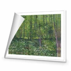 Trees And Undergrowth By Van Gogh Canvas Art -WALL ART DESGIN SALE 1715AR H Van Gogh Trees and undergrowth ROLLED Thumb e3bfcb66 b964 457d b471 b10443e03ed7