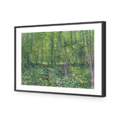 Trees And Undergrowth - Van Gogh Acrylic Print Art -WALL ART DESGIN SALE 1715AR H Van Gogh Trees and undergrowth RTP Max Size 135x90 ACR MAT THUMB FF BLK