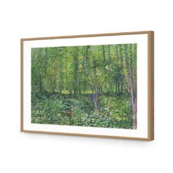 Trees And Undergrowth - Van Gogh Acrylic Print Art -WALL ART DESGIN SALE 1715AR H Van Gogh Trees and undergrowth RTP Max Size 135x90 ACR MAT THUMB FF OAK