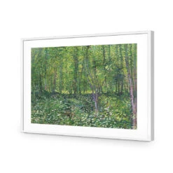 Trees And Undergrowth - Van Gogh Acrylic Print Art -WALL ART DESGIN SALE 1715AR H Van Gogh Trees and undergrowth RTP Max Size 135x90 ACR MAT THUMB FF WHT