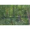 Trees And Undergrowth - Van Gogh Acrylic Print Art -WALL ART DESGIN SALE 1715AR H Van Gogh Trees and undergrowth thumb