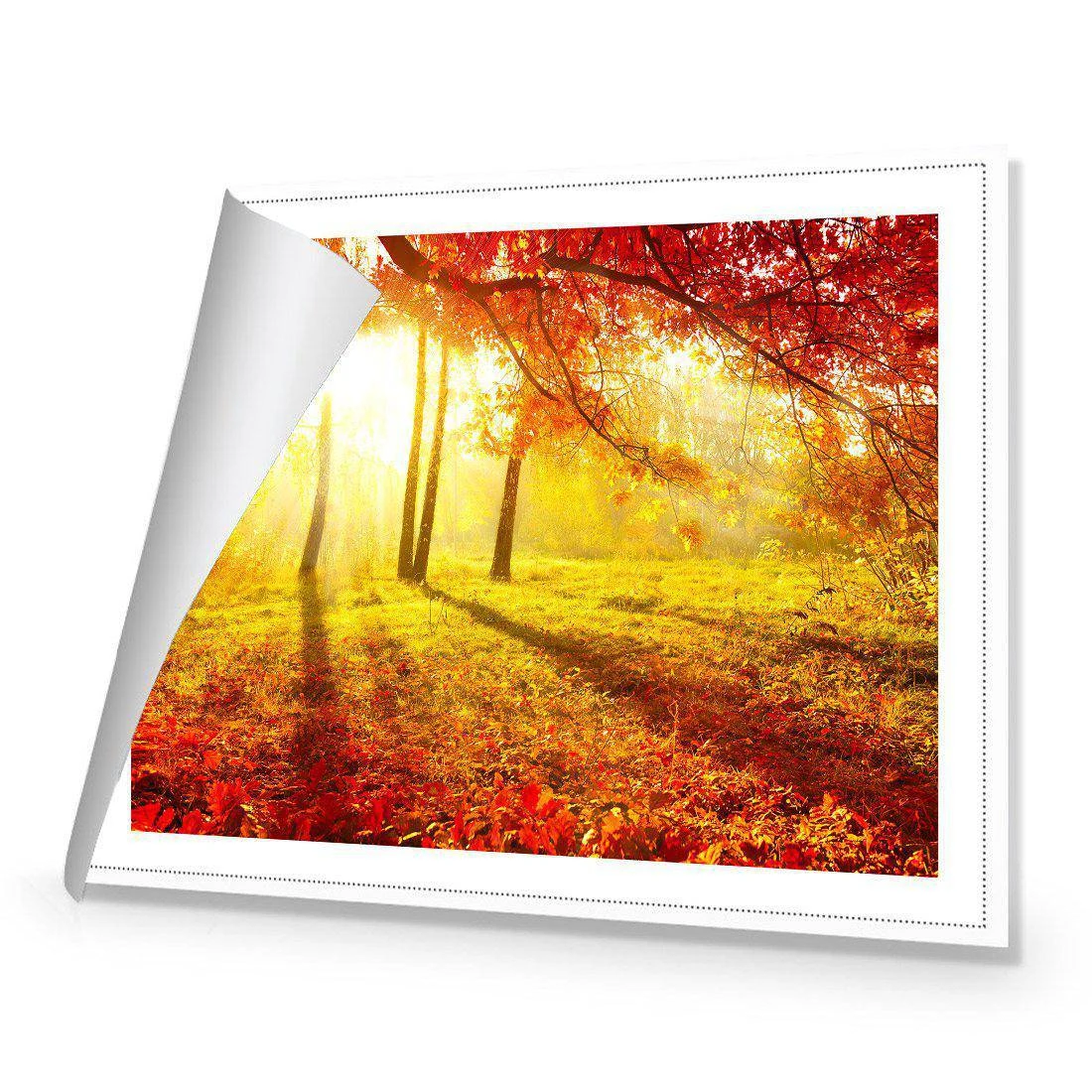 Sun Shadows Canvas Art Sun Shadows Canvas Art -WALL ART DESGIN SALE 1766AR H Sun Shadows ORIG ROLLED Thumb 0421695f de83 4cbd 9f75 5cc1eea1dae7