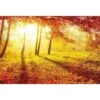 Sun Shadows Canvas Art -WALL ART DESGIN SALE 1766AR H Sun Shadows Thumb a0e80c04 dd9f 40d6 b521 81e68e601546