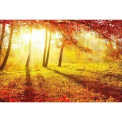 Sun Shadows Canvas Art