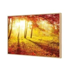 Sun Shadows Canvas Art -WALL ART DESGIN SALE 1766AR H Sun Shadows 3D THUMB FF OAK 31923c3e a073 4d76 bba7 44c99c65e036