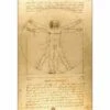 Vitruvian Man By Leonardo Da Vinci Canvas Art -WALL ART DESGIN SALE 1819AR V Leonardo DaVinci Vitruvian Man Thumb bbee43b6 bc27 4288 8b98 591551fcb48a