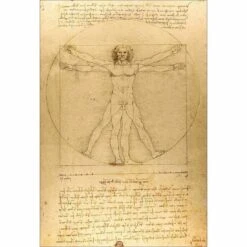 Vitruvian Man By Leonardo Da Vinci Canvas Art