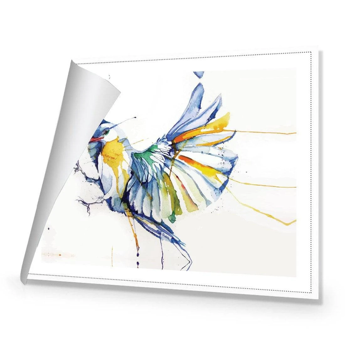 Watercolour Bird Canvas Art Watercolour Bird Canvas Art -WALL ART DESGIN SALE 1837AR H Watercolor Bird ROLLED Thumb 675926e8 c33f 4259 a44c 118322efe997