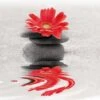 Red Flower Reflection Canvas Art