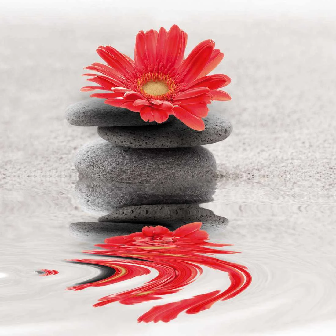 Red Flower Reflection Canvas Art Red Flower Reflection Canvas Art -WALL ART DESGIN SALE 1996AS Red Flower Reflection thumb cdfcc2cc 1ec1 40da ab65 74a29ab359ec